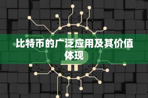 比特币的广泛应用及其价值体现