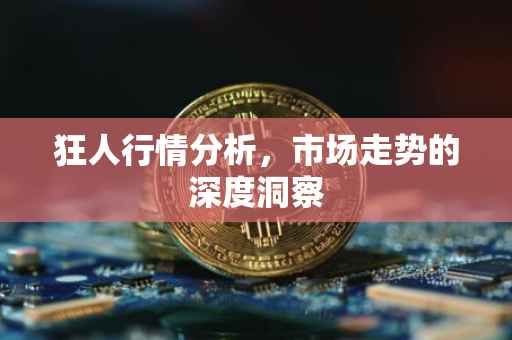 狂人行情分析，市场走势的深度洞察