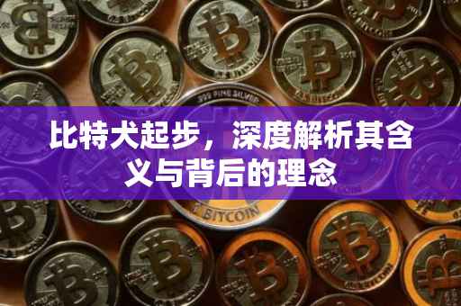 比特犬起步，深度解析其含义与背后的理念