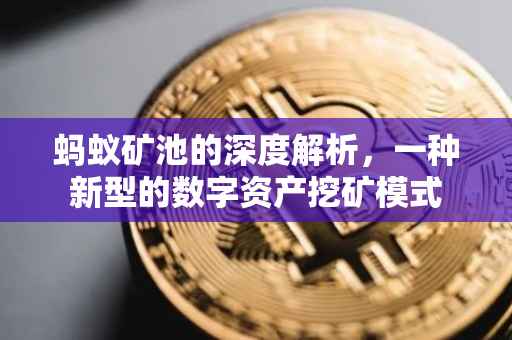 蚂蚁矿池的深度解析，一种新型的数字资产挖矿模式