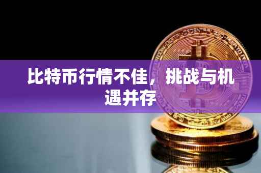 比特币行情不佳，挑战与机遇并存