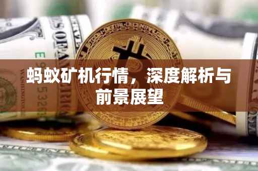 蚂蚁矿机行情，深度解析与前景展望