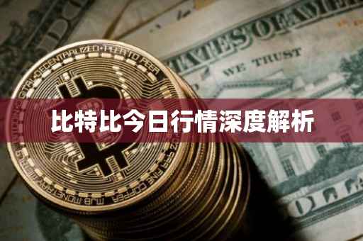 比特比今日行情深度解析