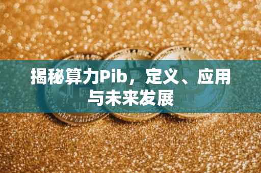 揭秘算力Pib，定义、应用与未来发展