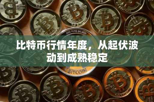 比特币行情年度，从起伏波动到成熟稳定