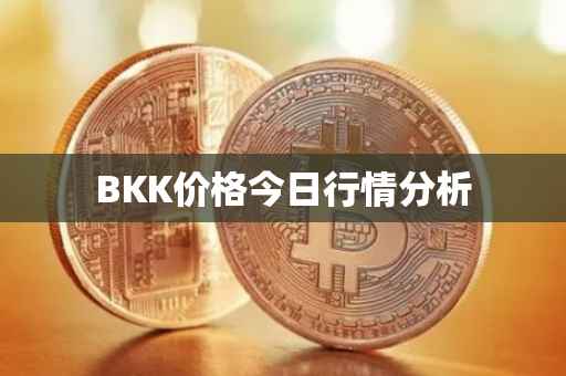 BKK价格今日行情分析