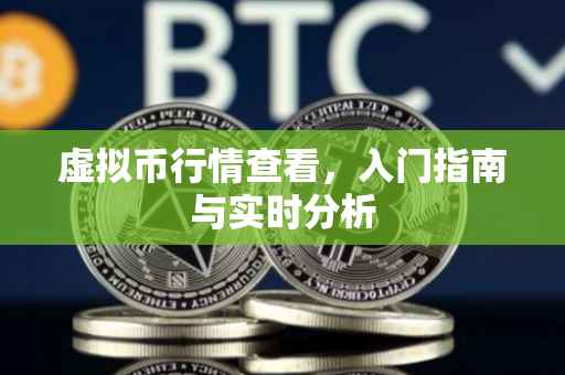虚拟币行情查看，入门指南与实时分析