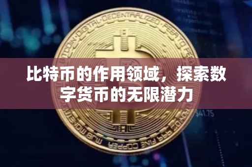 比特币的作用领域，探索数字货币的无限潜力