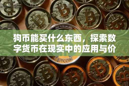 狗币能买什么东西，探索数字货币在现实中的应用与价值