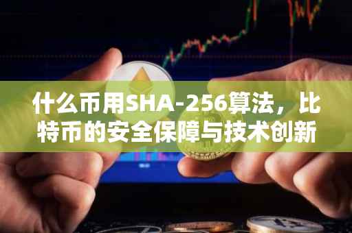 什么币用SHA-256算法，比特币的安全保障与技术创新