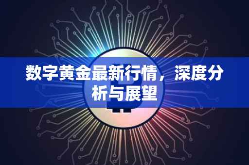 数字黄金最新行情，深度分析与展望