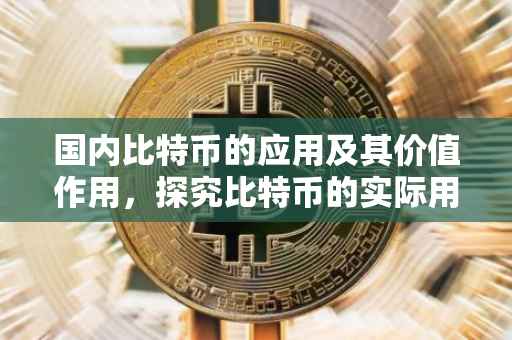 国内比特币的应用及其价值作用，探究比特币的实际用途与意义