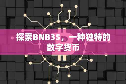 探索BNB3S，一种独特的数字货币
