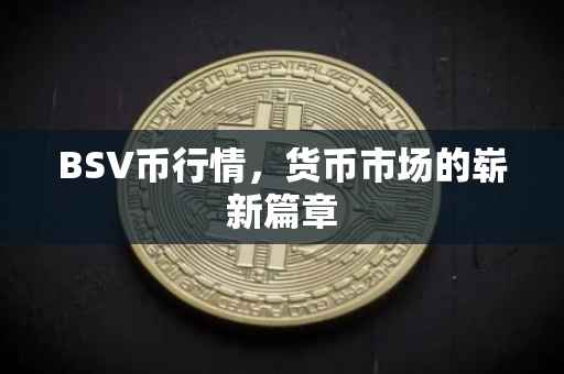 BSV币行情，货币市场的崭新篇章