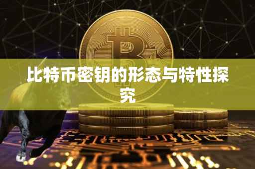 比特币密钥的形态与特性探究
