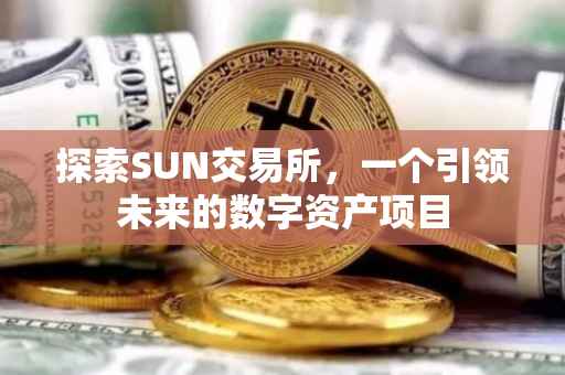探索SUN交易所，一个引领未来的数字资产项目