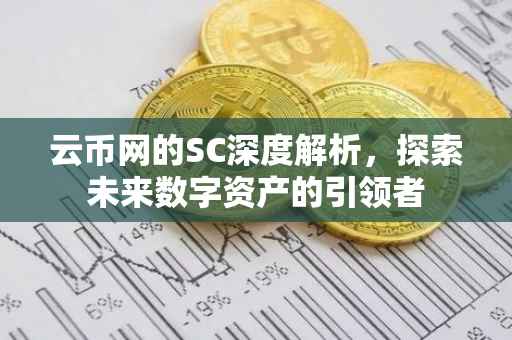 云币网的SC深度解析，探索未来数字资产的引领者