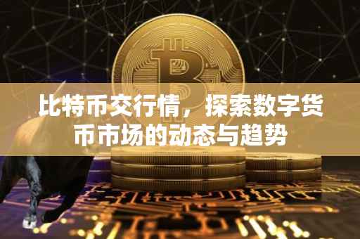比特币交行情，探索数字货币市场的动态与趋势