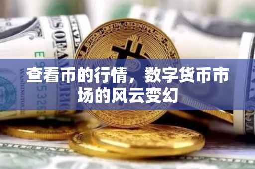 查看币的行情，数字货币市场的风云变幻