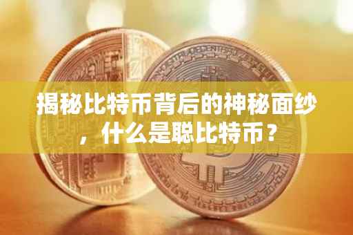 揭秘比特币背后的神秘面纱，什么是聪比特币？