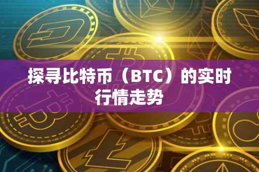 探寻比特币（BTC）的实时行情走势