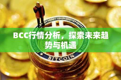 BCC行情分析，探索未来趋势与机遇