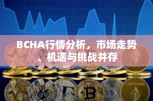 BCHA行情分析，市场走势、机遇与挑战并存