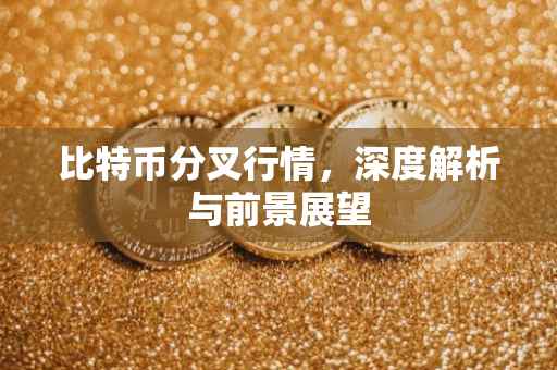 比特币分叉行情，深度解析与前景展望