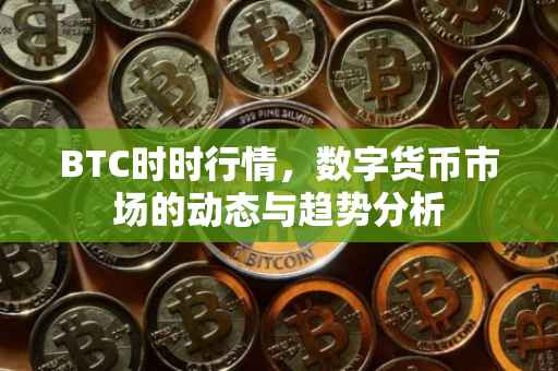 BTC时时行情，数字货币市场的动态与趋势分析