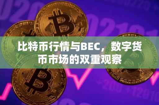 比特币行情与BEC，数字货币市场的双重观察