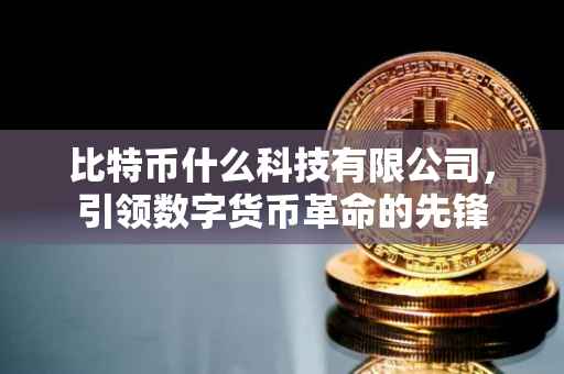 比特币什么科技有限公司，引领数字货币革命的先锋