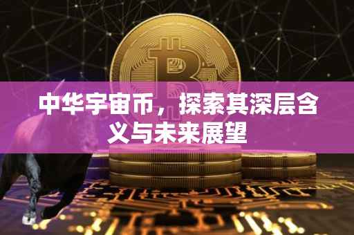 中华宇宙币，探索其深层含义与未来展望