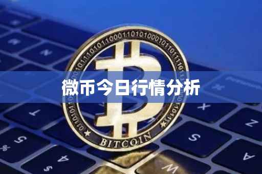 微币今日行情分析