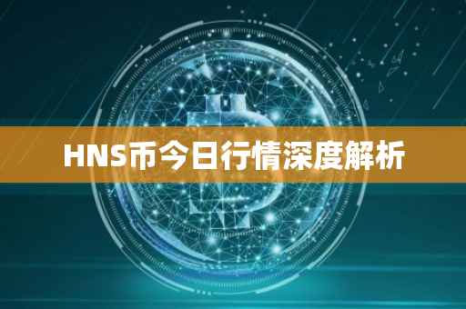 HNS币今日行情深度解析