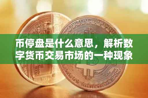 币停盘是什么意思，解析数字货币交易市场的一种现象