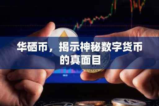 华硒币，揭示神秘数字货币的真面目