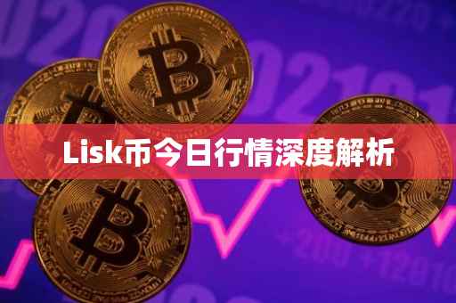 Lisk币今日行情深度解析