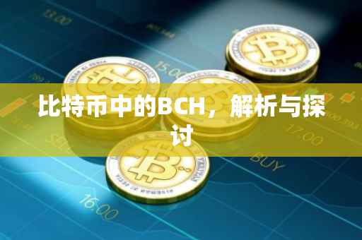 比特币中的BCH，解析与探讨