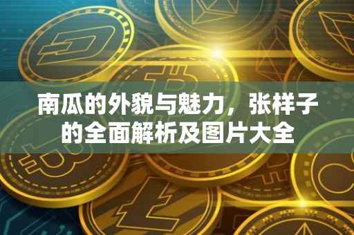南瓜的外貌与魅力，张样子的全面解析及图片大全