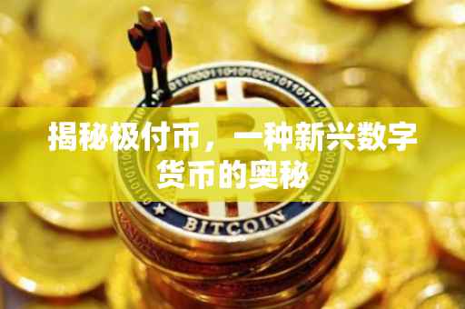 揭秘极付币，一种新兴数字货币的奥秘