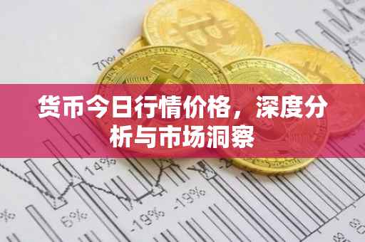 货币今日行情价格，深度分析与市场洞察