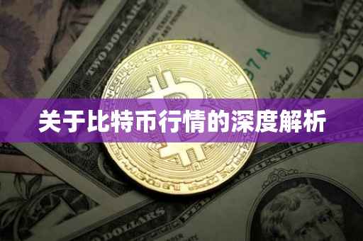 关于比特币行情的深度解析