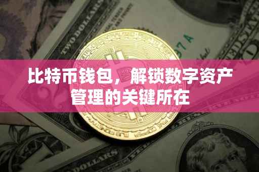 比特币钱包，解锁数字资产管理的关键所在