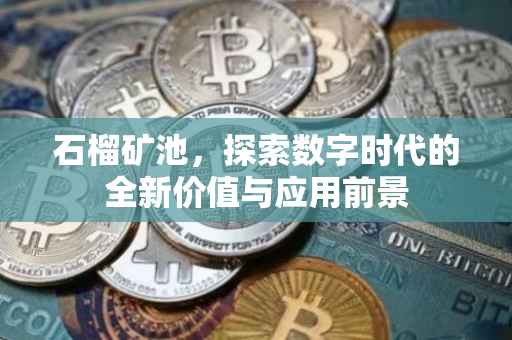 石榴矿池，探索数字时代的全新价值与应用前景