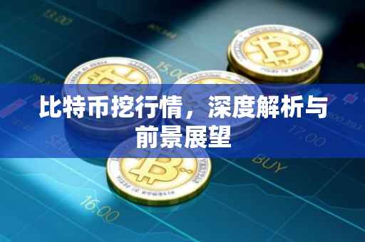 比特币挖行情，深度解析与前景展望
