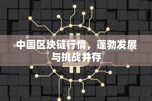 中国区块链行情，蓬勃发展与挑战并存
