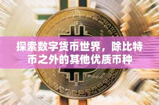 探索数字货币世界，除比特币之外的其他优质币种