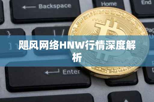 飓风网络HNW行情深度解析