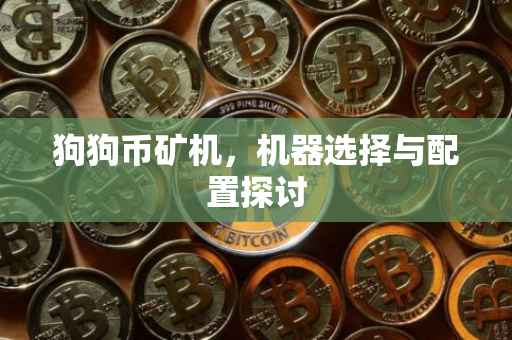 狗狗币矿机，机器选择与配置探讨