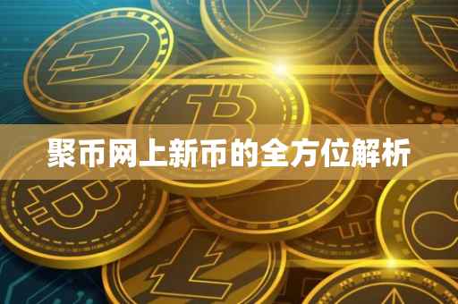 聚币网上新币的全方位解析